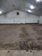 te huur loods, Zakelijke goederen, Bedrijfs Onroerend goed, 800 m², Huur, Bedrijfsruimte