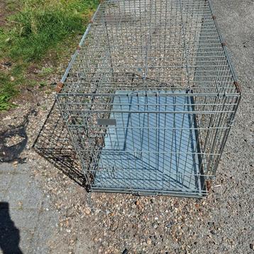 Hondenbench beschikbaar voor biedingen
