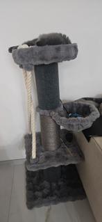 Krabpaal, Enlèvement, Griffoir