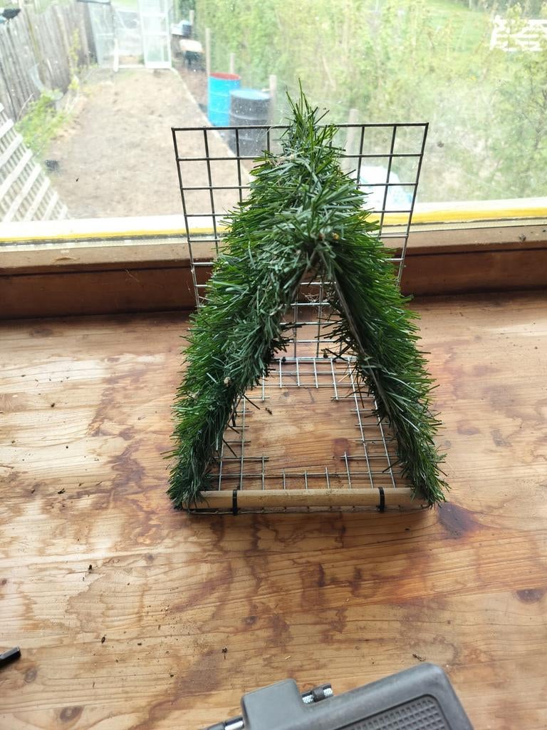 Nest, Animaux & Accessoires