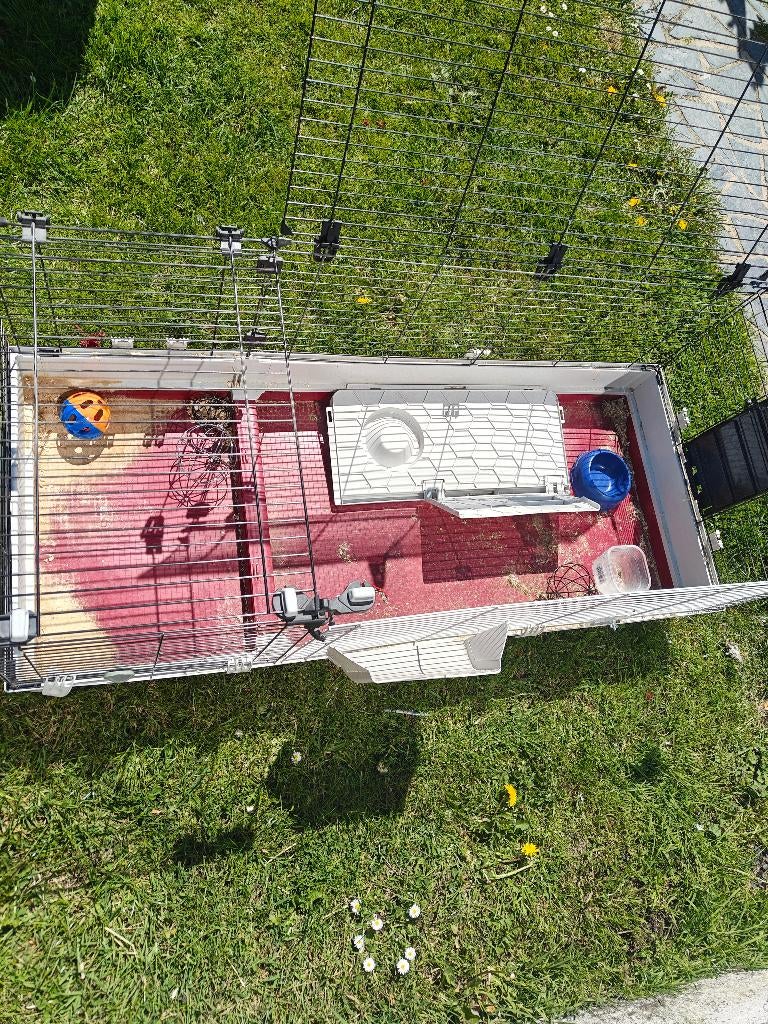 Cage pour lapin, Divers, Divers Autre, Utilisé, Enlèvement