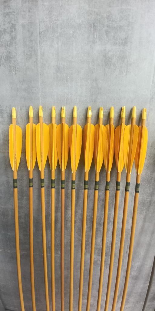 Pijlen cederhout Falco premium schachten 32"30 A 40#, Sport en Fitness, Ophalen of Verzenden, Pijlen