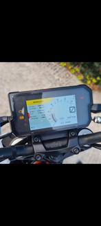 KTM 390 DUKE, Motos, Occasion, Particulier, Permis Moto A2 minimum, 373 cm³