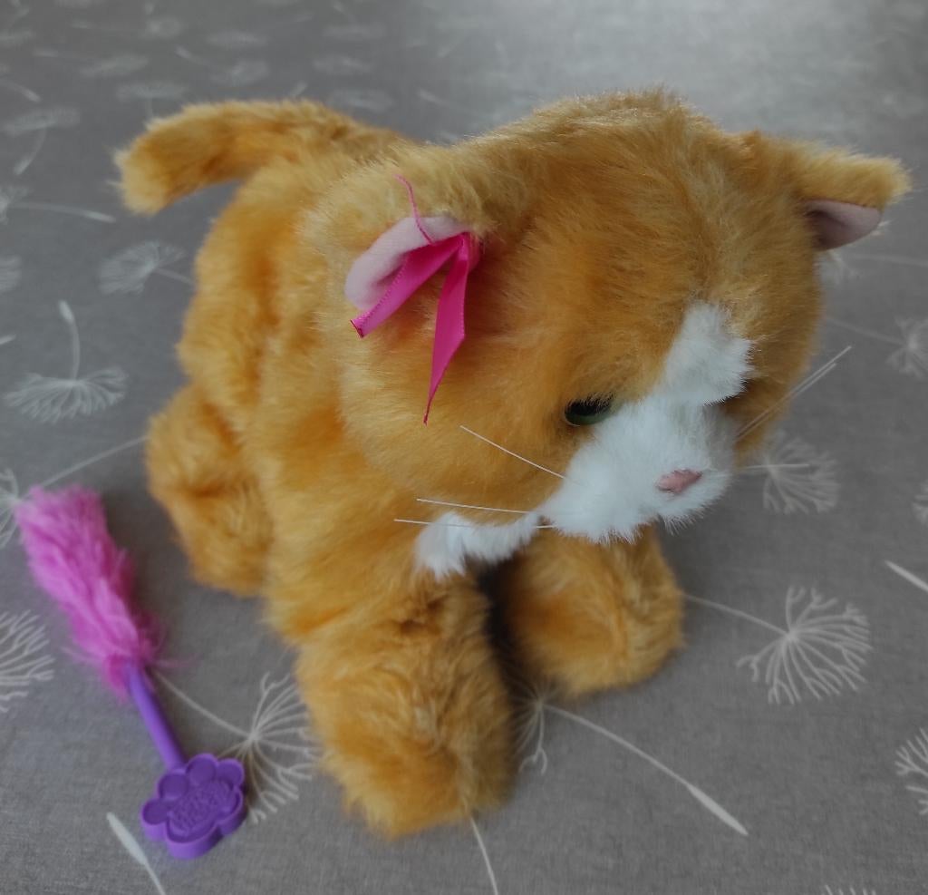 fur real friends, interactieve poes Daisy, Ophalen of Verzenden, Ontdekken