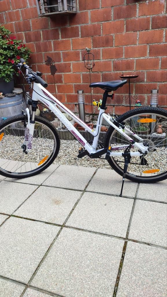Mountainbike Giant wielmaat 24 inch, Fietsen en Brommers, Ophalen, 24 inch, Versnellingen