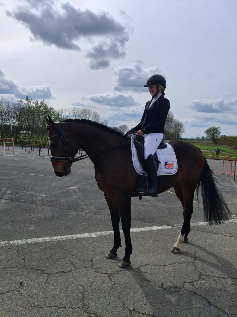 Prachtige 6-jarige ruin zoekt gouden stalletje, Dieren en Toebehoren, Ruin