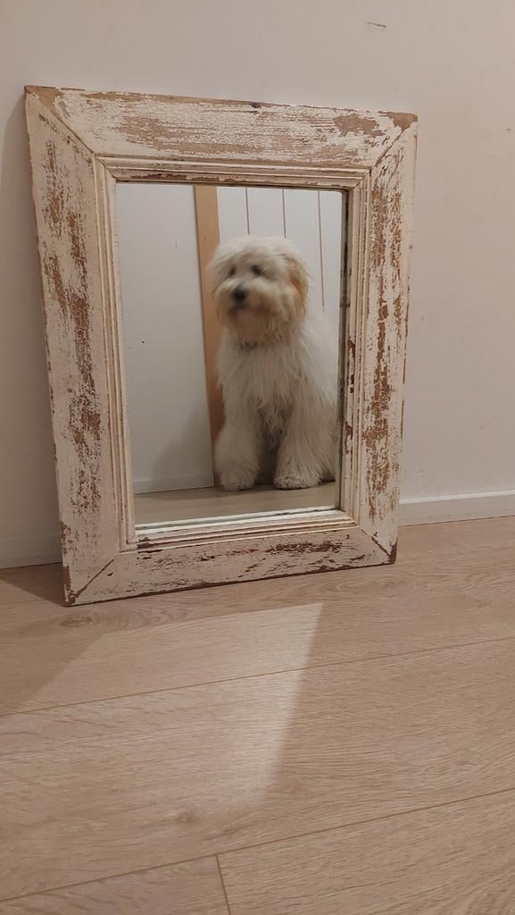 Landelijke spiegel, Enlèvement ou Envoi