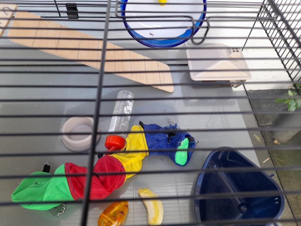 Hamsterkooi, Dieren en Toebehoren, Ophalen, Gebruikt, Kooi, Hamster