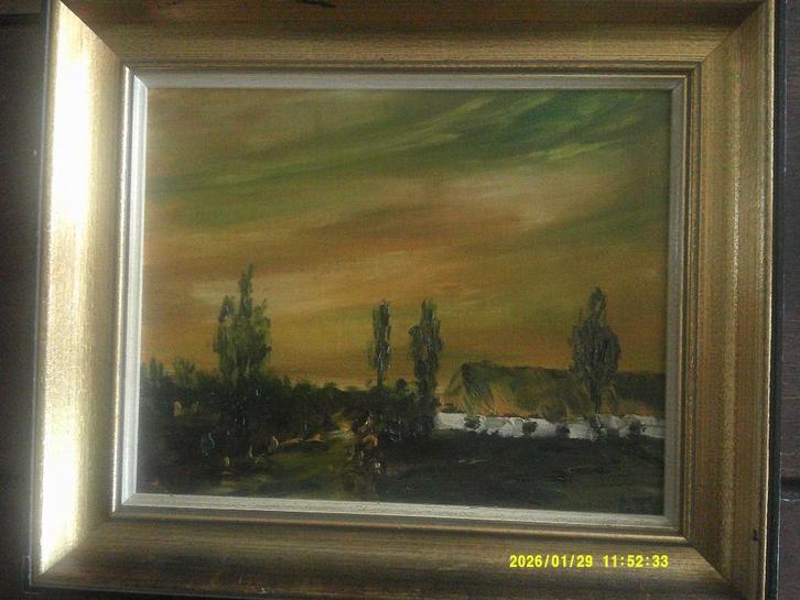 *Prachtige gesigneerde schilderij met mooie kader, Antiek en Kunst, Kunst | Schilderijen | Klassiek, Ophalen of Verzenden