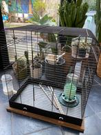 Grote vogelkooi met accessoires, Dieren en Toebehoren, Vogels | Hokken en Kooien, Ophalen, Gebruikt, Vogelkooi