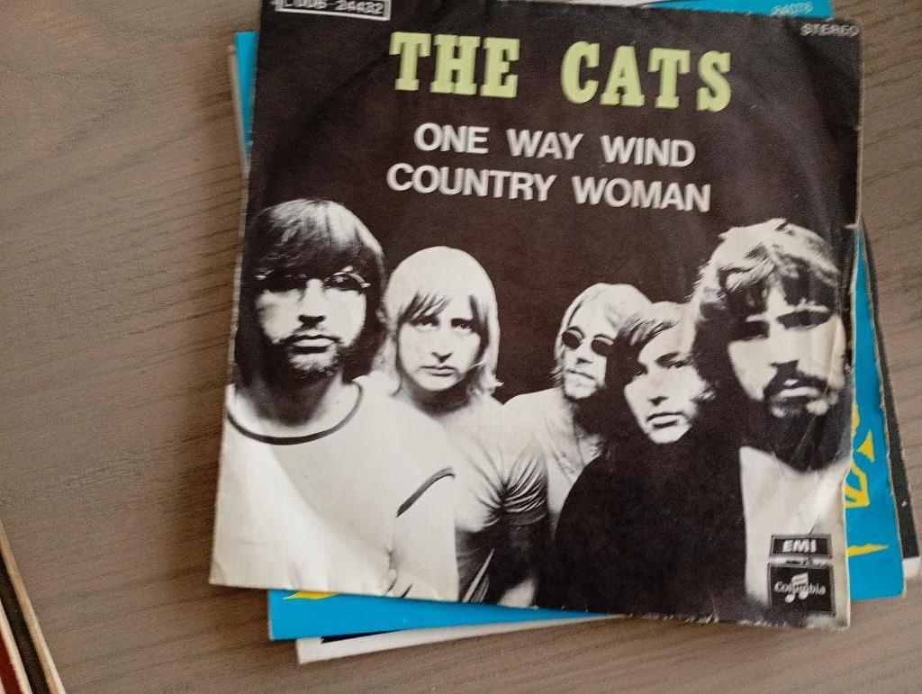 The Cats - One way wind, Cd's en Dvd's, Vinyl Singles, Gebruikt, 7 inch, Single, Ophalen of Verzenden
