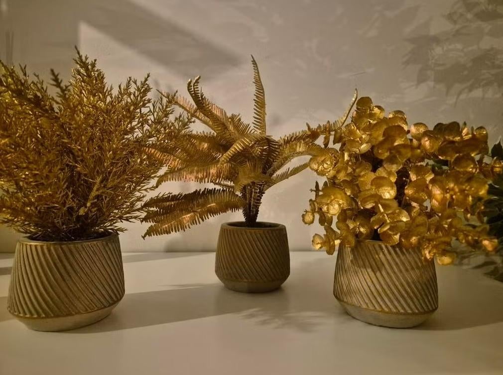 3 gouden kunstplantjes, Ophalen