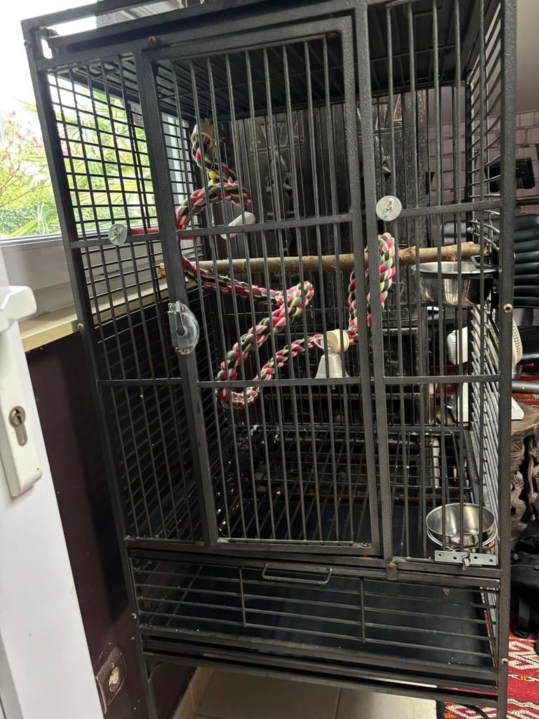 Complete papegaaienkooi, Ophalen, Gebruikt, Metaal, Vogelkooi