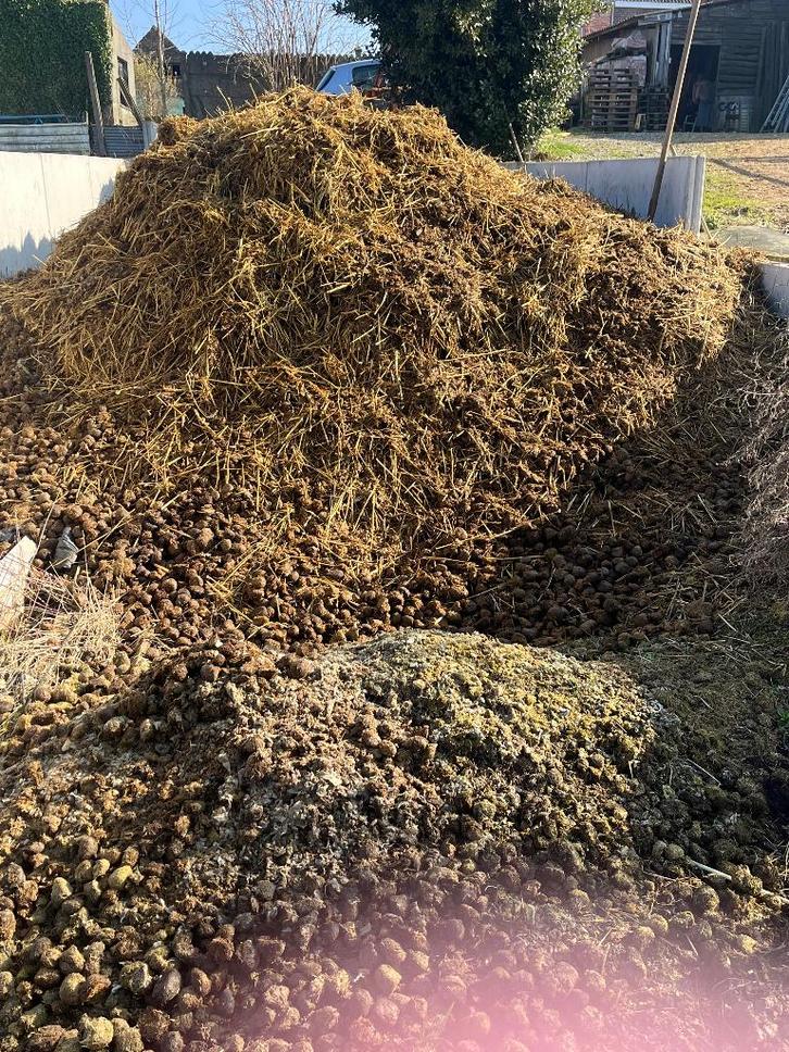 Mest te geef, Tuin en Terras, Aarde en Mest, Mest, Ophalen