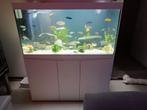 Aquarium 350l met vissen en toebehoren, Dieren en Toebehoren, Ophalen, Aquatlantis