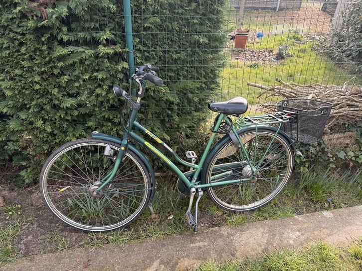 Vélo Gazelle Trendy pour femmes (7 vitesses), Vélos & Vélomoteurs, Vélos | Femmes | Vélos pour femme, Utilisé, Gazelle, Vitesses