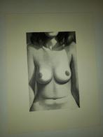 Roger Wittevrongel, Antiek en Kunst, Ophalen