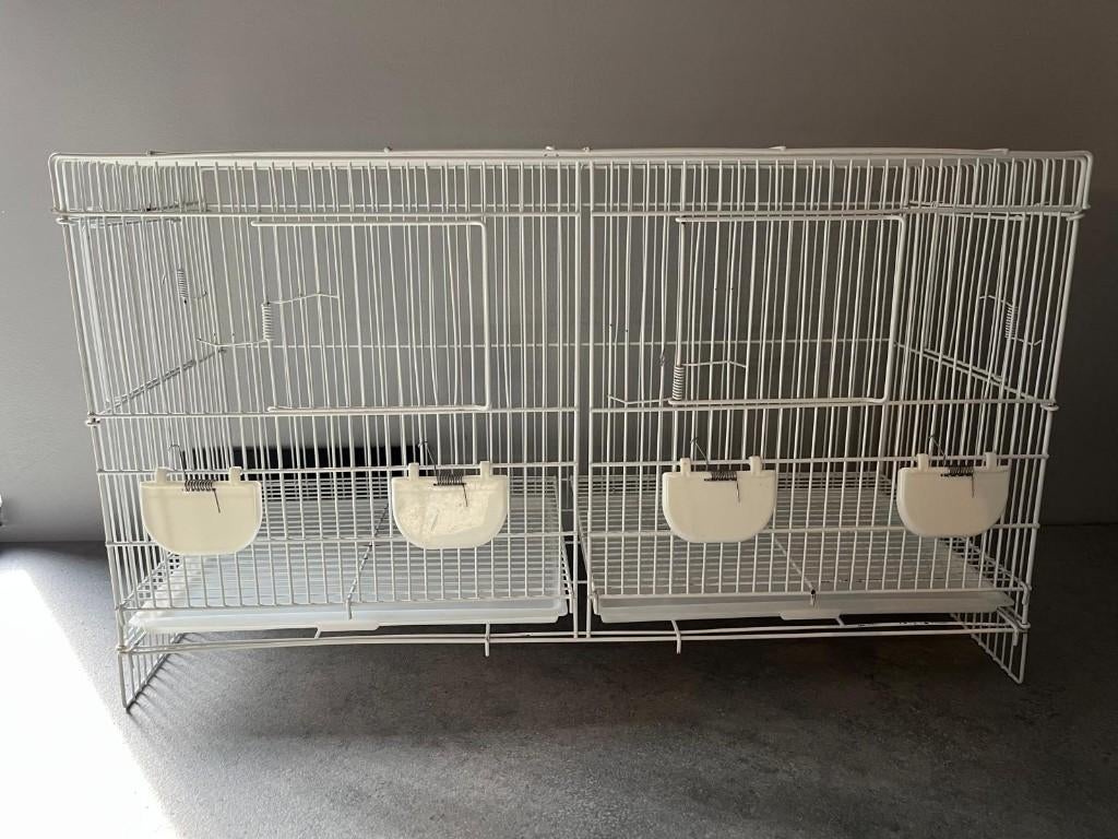 draadkooien vogels 10 stuks, Enlèvement