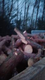 Den te koop op meterhout, Tuin en Terras, Brandhout, Ophalen