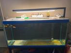 Aquwarium 1m27,5 x 50 x 60, Animaux & Accessoires, Enlèvement, Comme neuf