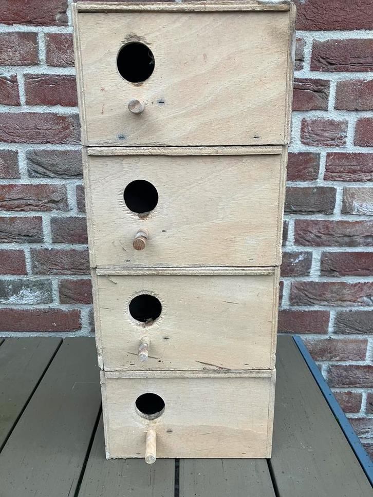 KWEEKBAKKEN DWERGPAPEGAAI- AGAPORNISSEN: 8 EURO/STUK !!, Tuin en Terras, Vogelhuisjes en Vogelbaden, Zo goed als nieuw, Ophalen