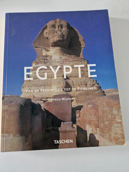 Egypte van de prehistorie tot de Romeinen, Boeken, Kunst en Cultuur | Architectuur, Ophalen of Verzenden
