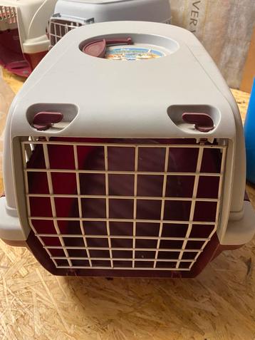 Reismand huisdier 3 stuks beschikbaar voor biedingen