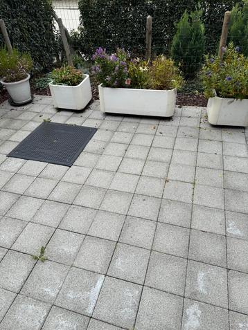 3 bloembakken met winter vaste planten te Nazareth. beschikbaar voor biedingen