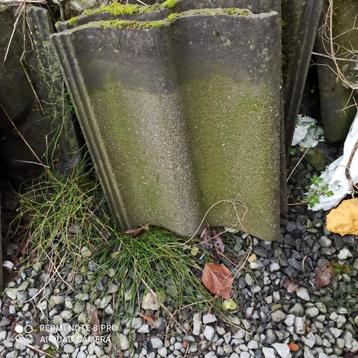 dakpannen  beschikbaar voor biedingen