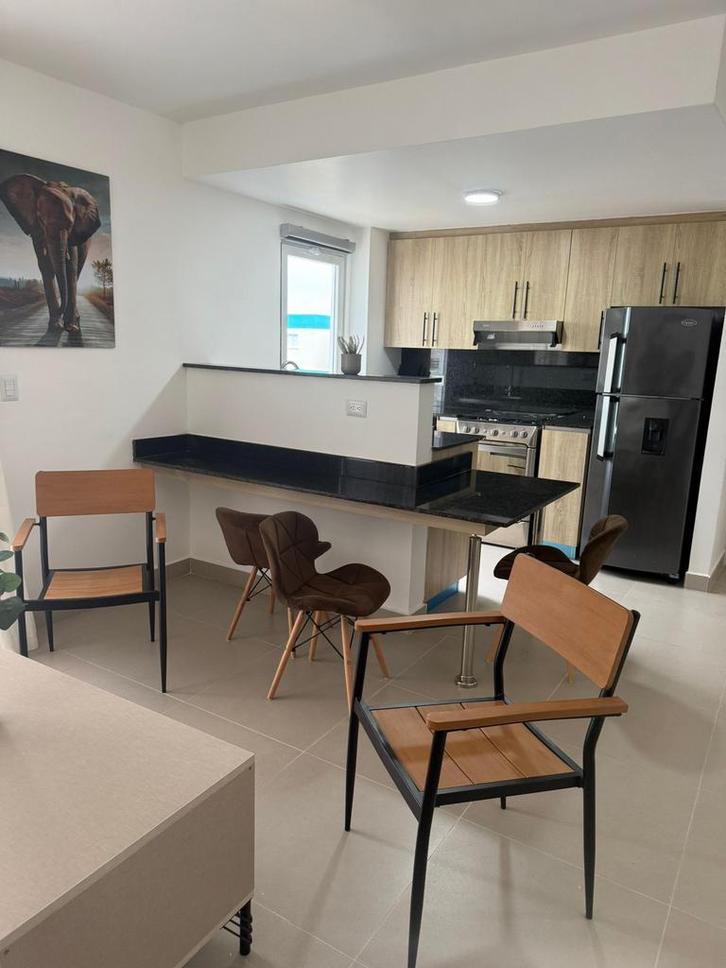 Appartement te huur in Dominicaanse Republiek Bavaro/punta c, Vakantie, Vakantiehuizen | Amerika, Appartement, Stad, Aan zee, 2 slaapkamers