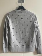 Trui Sweater River Woods - 12 jaar - licht grijs, Kinderen en Baby's, River Woods, Jongen of Meisje, Trui of Vest, Ophalen of Verzenden