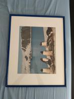 Ingelijste foto van pinguïns op Antarctica, Ophalen