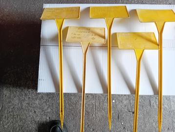 Plantenstekers voor kwekers of liefhebbers plantenmarkten. beschikbaar voor biedingen