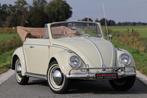 Volkswagen Kever - High Quality Restauration, Auto's, Volkswagen, Beige, Cabriolet, Wit, Bedrijf