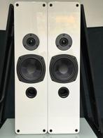 Tangent Evo5, Audio, Tv en Foto, Luidsprekerboxen, Ophalen of Verzenden, Zo goed als nieuw