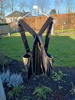 Roofvogels, Dieren en Toebehoren, Ophalen