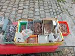 Lot de différents clous, Doe-het-zelf en Bouw, Gereedschapskisten, Ophalen, Zo goed als nieuw