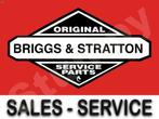 Briggs & Stratton, Enlèvement ou Envoi