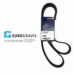 VOLVO FH4 V-Riem 22670503, Motor en Accessoires, -, -, Nieuw