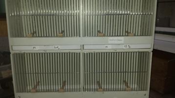 KOOIEN VOOR VERKOPEN  beschikbaar voor biedingen