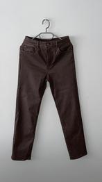 NEW JEANS MASSIMO DUTTY bruin geolied M, Kleding | Dames, MASSIMO DUTTY, Ophalen of Verzenden, Nieuw, Overige kleuren