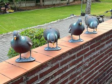Jachttas + 4 lokduiven (kunststof) beschikbaar voor biedingen