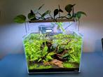 Volledig ingedraaid ADA aquarium (21L) met toebehor, Dieren en Toebehoren, Ophalen, Zo goed als nieuw