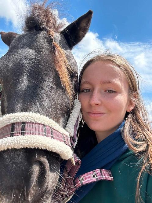 Ruiter/hulp aangeboden, Dieren en Toebehoren, Paarden en Pony's | Verzorgingsproducten, Zo goed als nieuw, Ophalen
