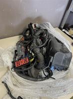 08-2013 Ford fiesta mk7 1,4 benzine motor kabelboom - 8V5T12, Ophalen of Verzenden, Zo goed als nieuw