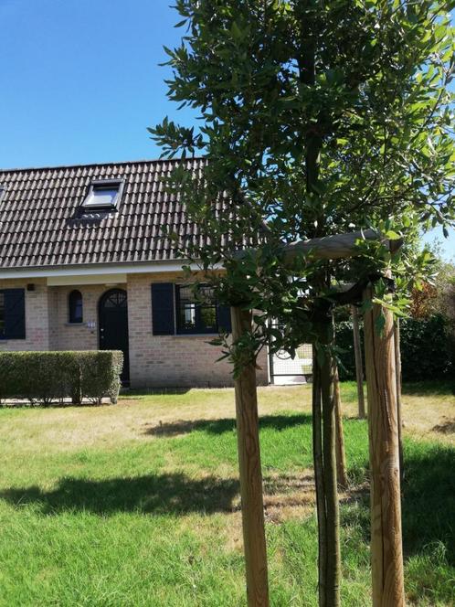 Vakantiewoning Domein Delvaux bij Plopsaland De Panne, WIFI, Vakantie, Vakantiehuizen | België, Antwerpen of Vlaanderen, Landhuis of Villa