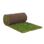 Gezocht: grasmatten, Tuin en Terras, Ophalen, Nieuw, 20 m² of meer, Gras