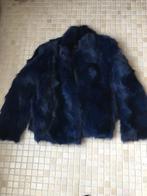 Damesvest in blauwe vos, Kleding | Dames, Jassen | Winter, Ophalen of Verzenden, Zo goed als nieuw, Maat 38/40 (M)
