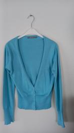 Cardigan,  maat 40  merk FEU VERT, Kleding | Dames, Ophalen of Verzenden, Zo goed als nieuw, Maat 38/40 (M)