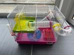Hamster kooi te koop, Dieren en Toebehoren, Kooi, Gebruikt, Minder dan 75 cm, Hamster
